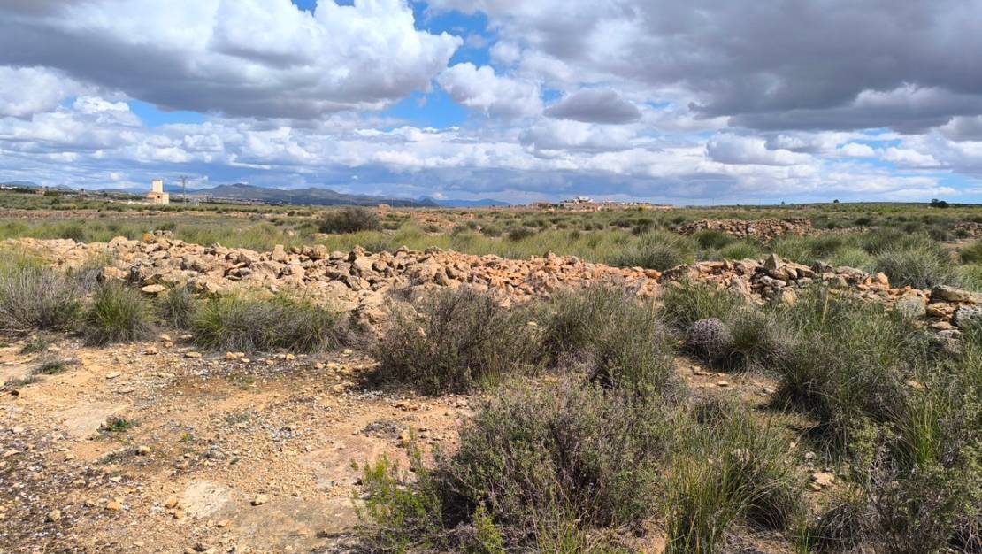 Sale - Land - Pinoso - Pinoso Centro