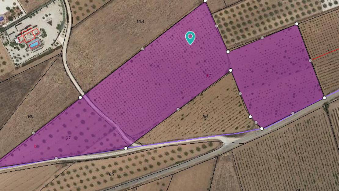 Sale - Land - Pinoso - Pinoso Centro