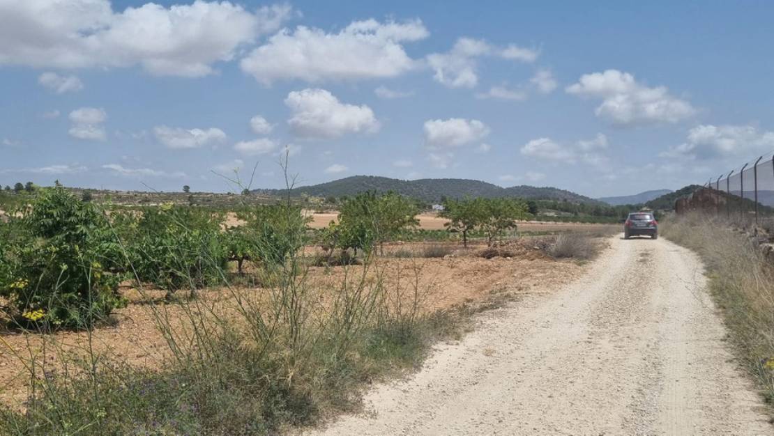 Sale - Land - Pinoso - Pinoso Centro