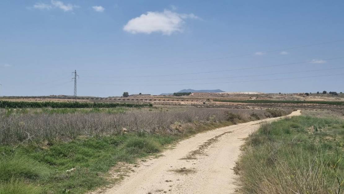 Sale - Land - Pinoso - Pinoso Centro