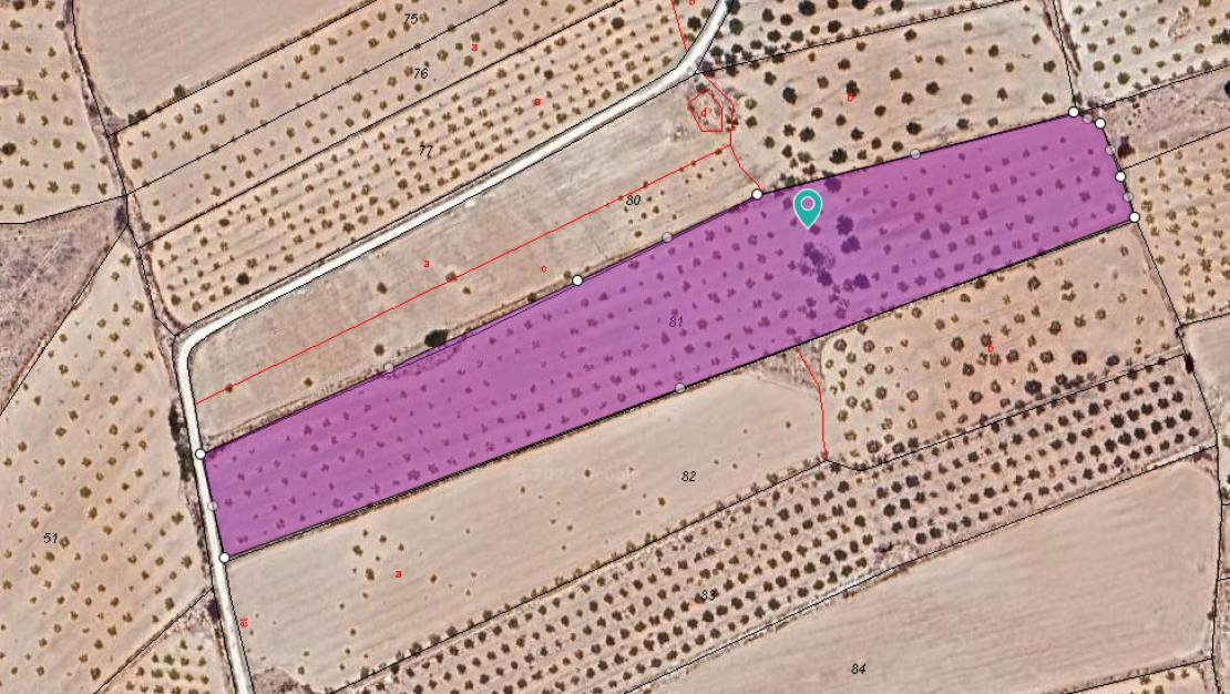 Sale - Land - Pinoso - Pinoso Centro