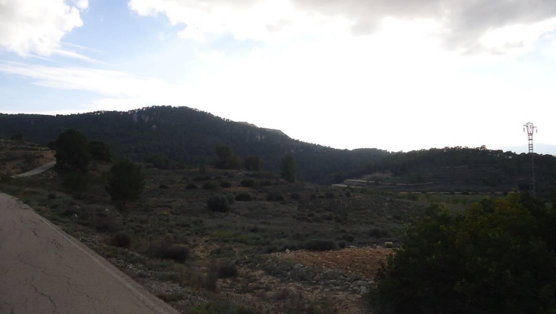 Sale - Land - Pinoso - Pinoso Centro