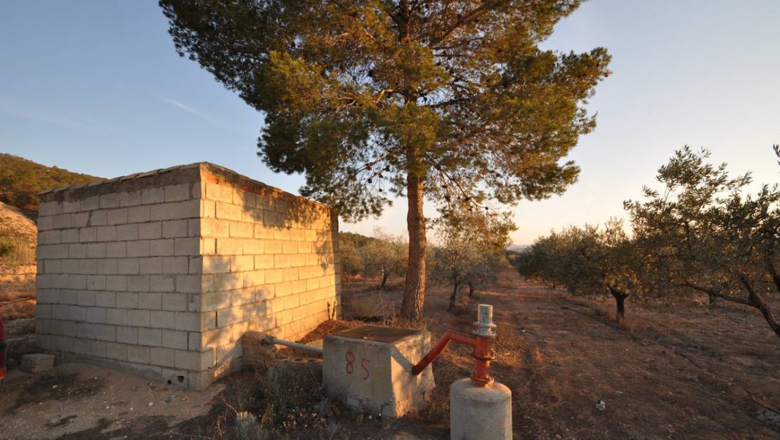 Sale - Land - Pinoso - Pinoso Centro