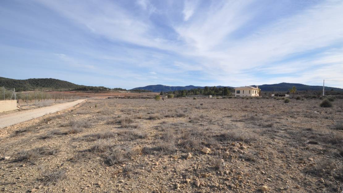 Sale - Land - Pinoso - Pinoso Centro