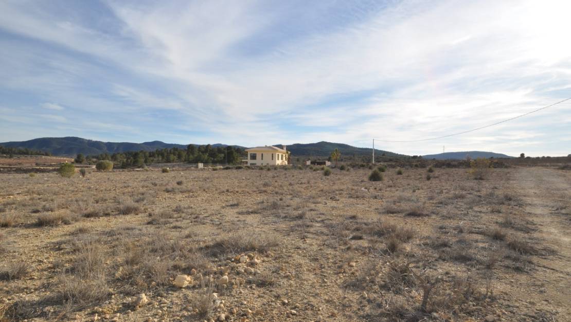 Sale - Land - Pinoso - Pinoso Centro