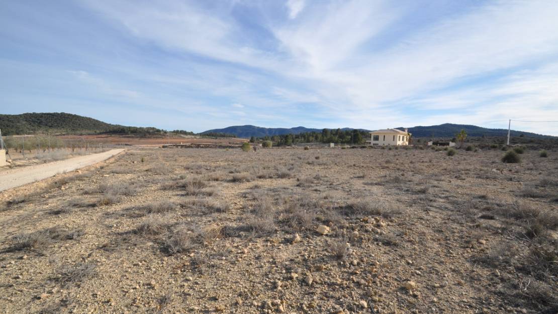 Sale - Land - Pinoso - Pinoso Centro