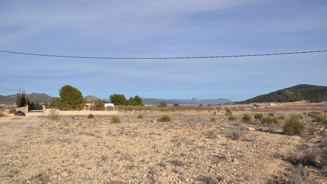 Sale - Land - Pinoso - Pinoso Centro