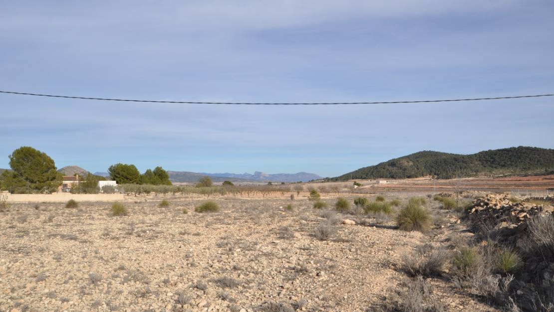 Sale - Land - Pinoso - Pinoso Centro