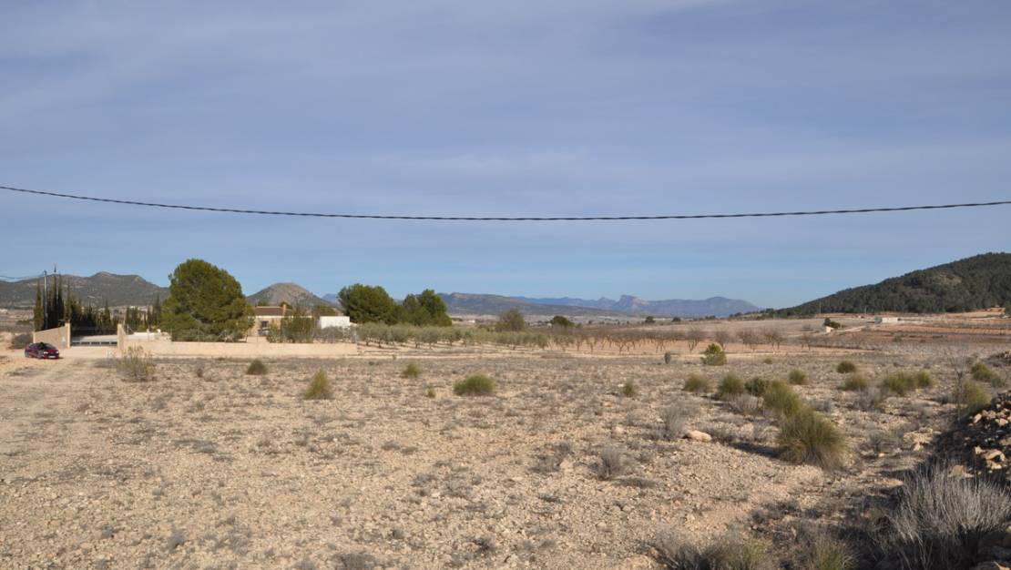 Sale - Land - Pinoso - Pinoso Centro