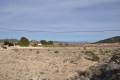 Sale - Land - Pinoso - Pinoso Centro