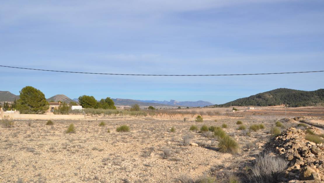 Sale - Land - Pinoso - Pinoso Centro