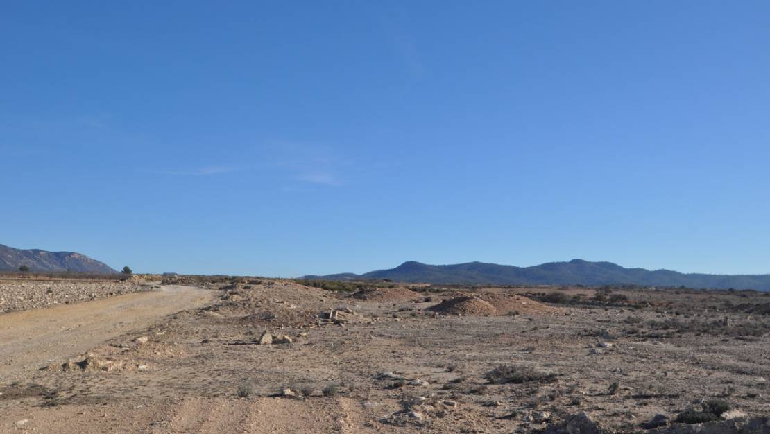 Sale - Land - Pinoso - Pinoso Centro