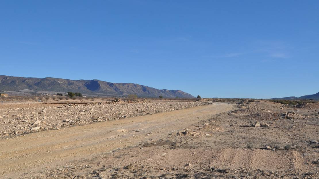 Sale - Land - Pinoso - Pinoso Centro