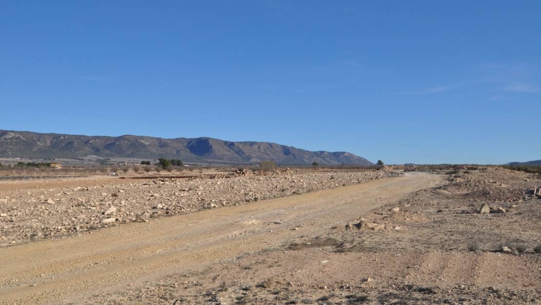 Sale - Land - Pinoso - Pinoso Centro