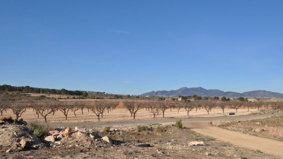 Sale - Land - Pinoso - Pinoso Centro