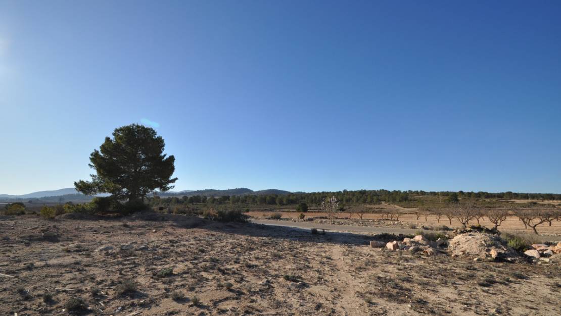 Sale - Land - Pinoso - Pinoso Centro