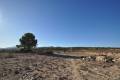 Sale - Land - Pinoso - Pinoso Centro