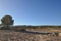Sale - Land - Pinoso - Pinoso Centro