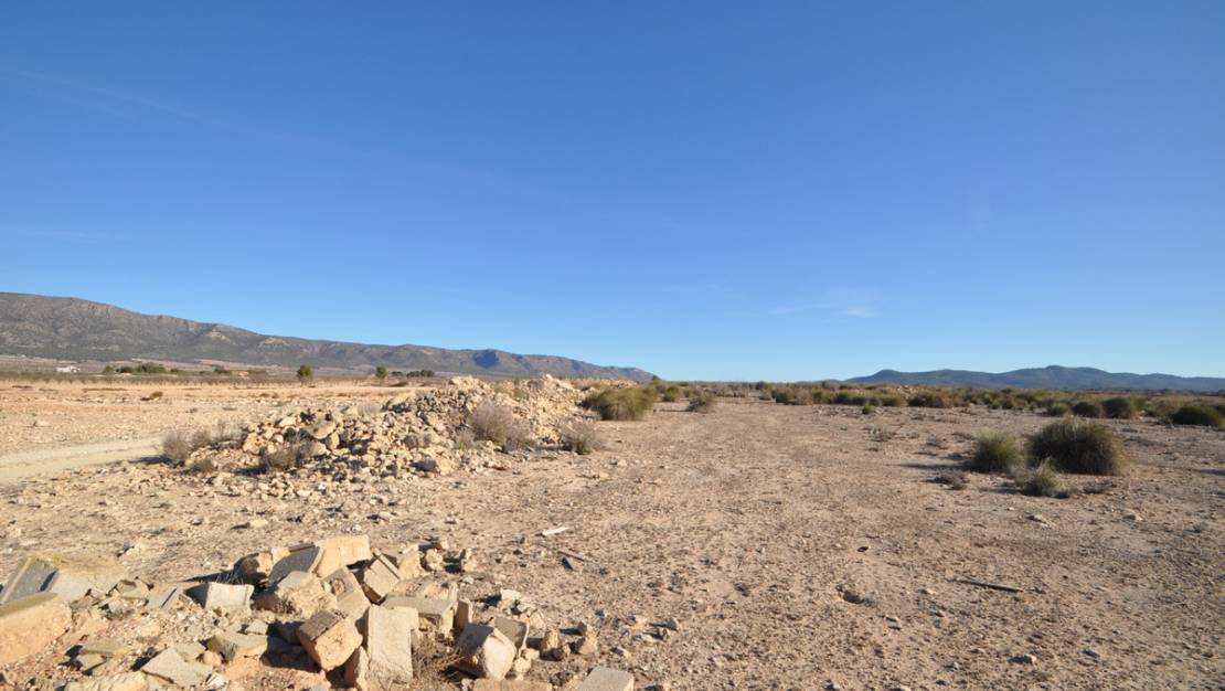 Sale - Land - Pinoso - Pinoso Centro