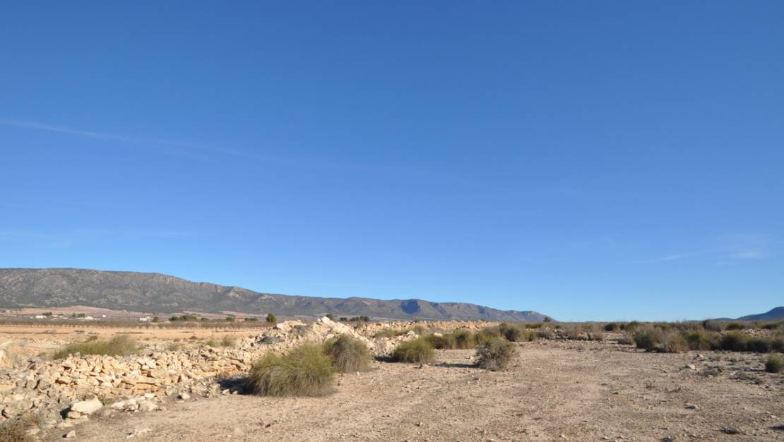 Sale - Land - Pinoso - Pinoso Centro