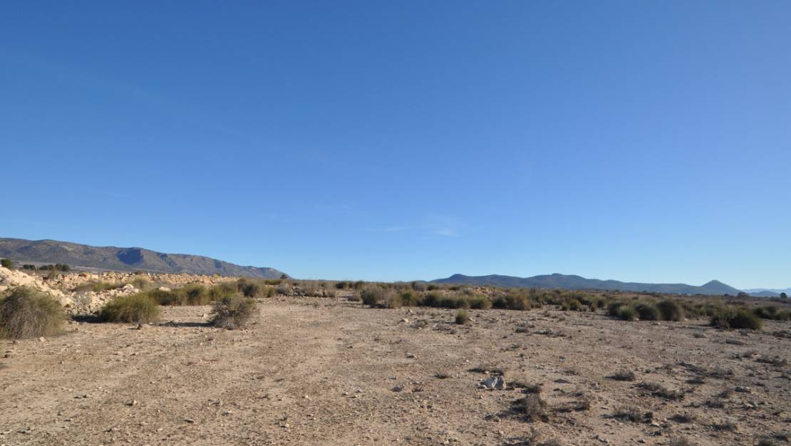 Sale - Land - Pinoso - Pinoso Centro