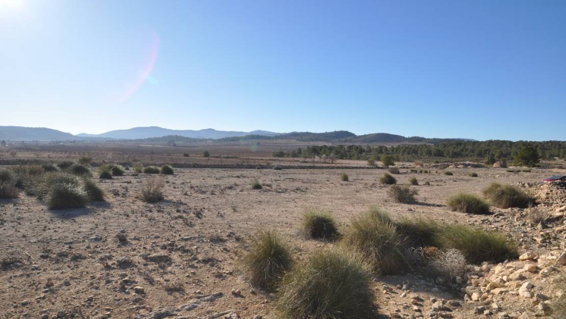 Sale - Land - Pinoso - Pinoso Centro