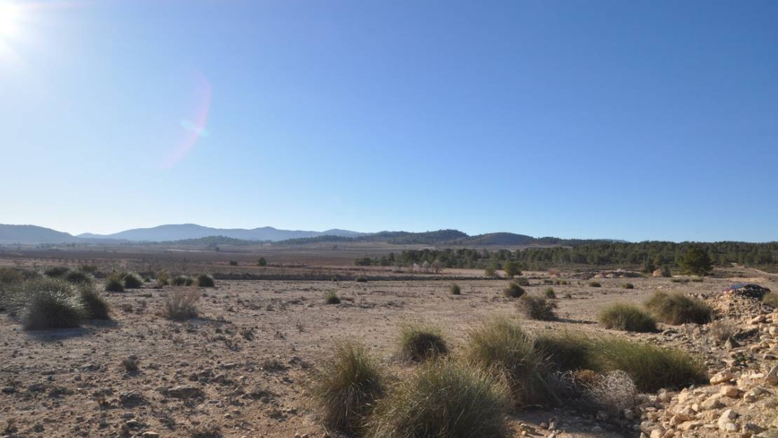 Sale - Land - Pinoso - Pinoso Centro