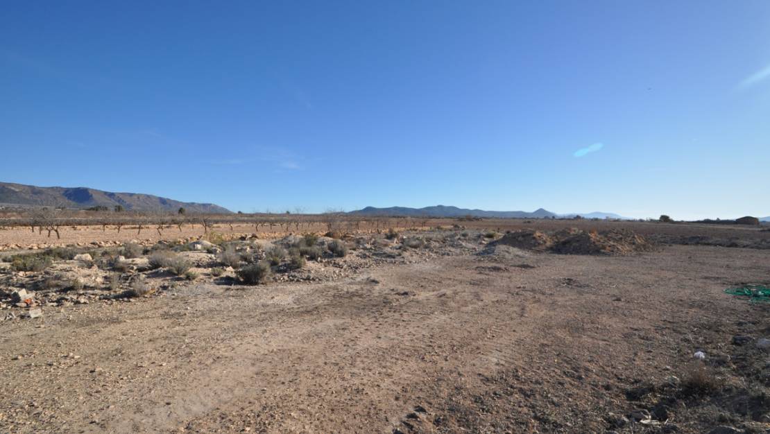 Sale - Land - Pinoso - Pinoso Centro