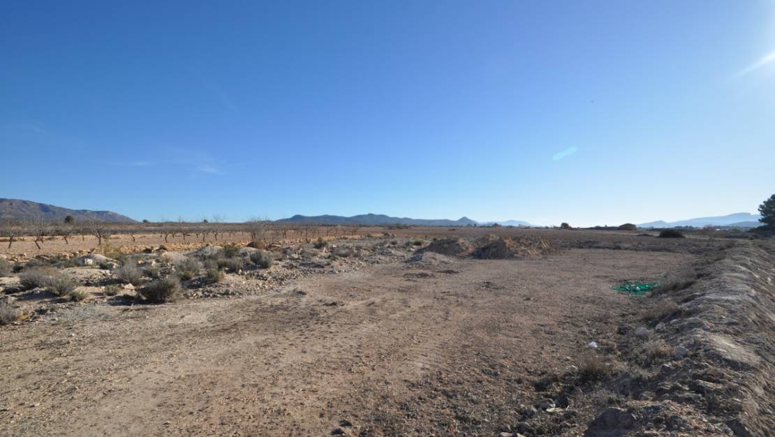 Sale - Land - Pinoso - Pinoso Centro