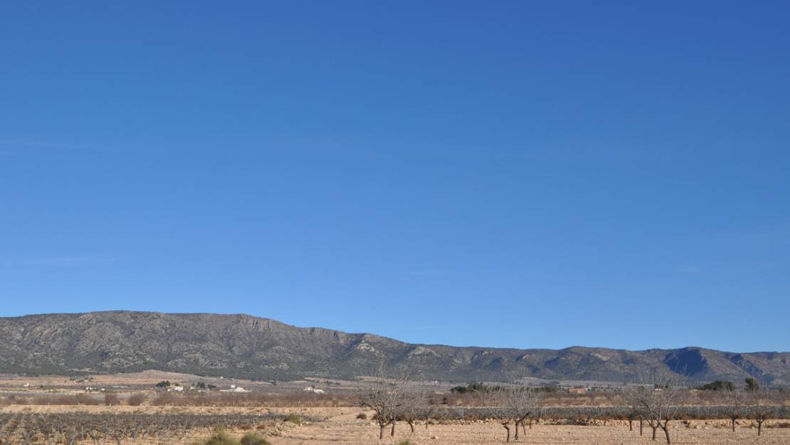 Sale - Land - Pinoso - Pinoso Centro