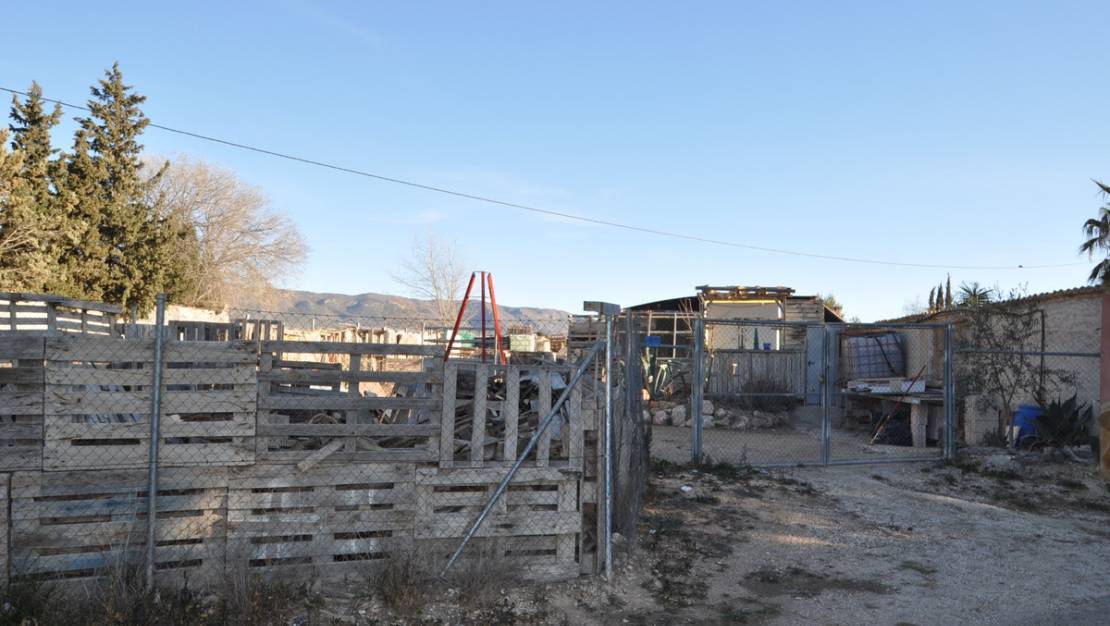 Sale - Land - Pinoso - Pinoso Centro