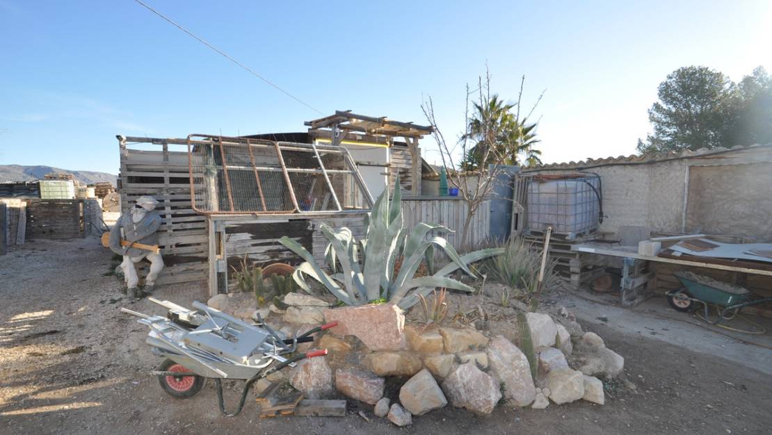 Sale - Land - Pinoso - Pinoso Centro