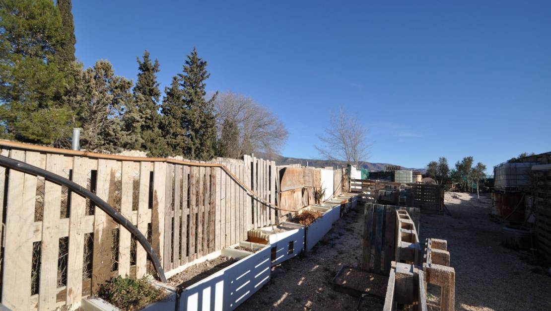 Sale - Land - Pinoso - Pinoso Centro