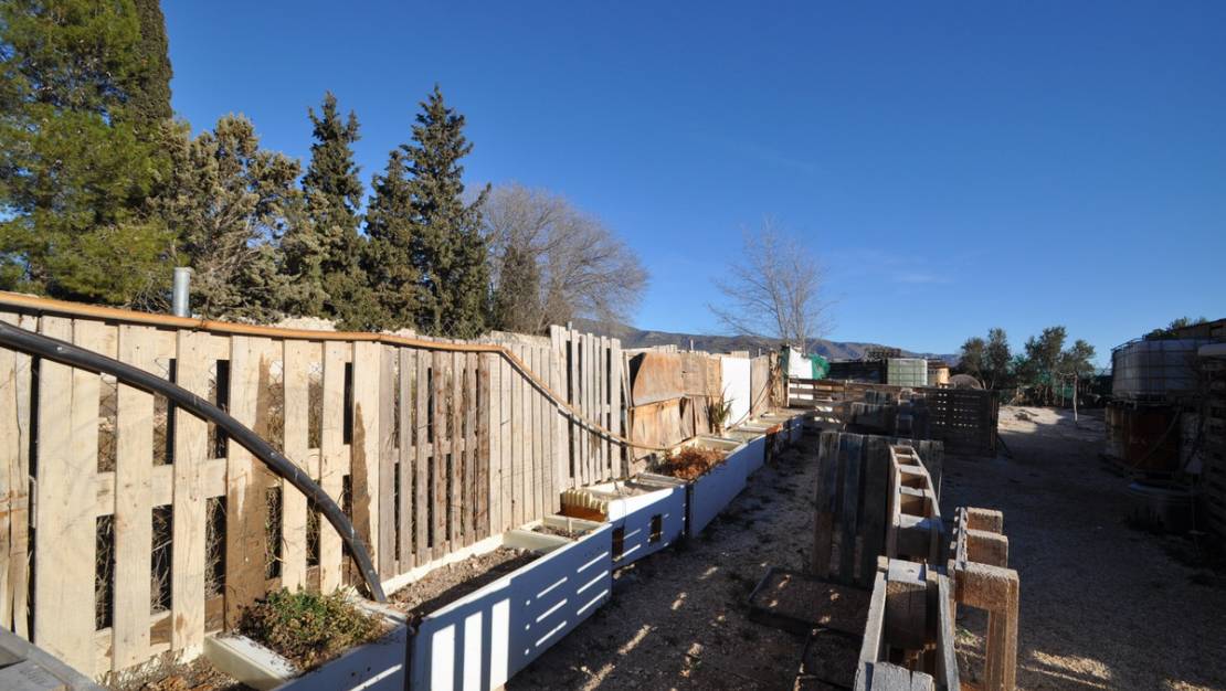 Sale - Land - Pinoso - Pinoso Centro