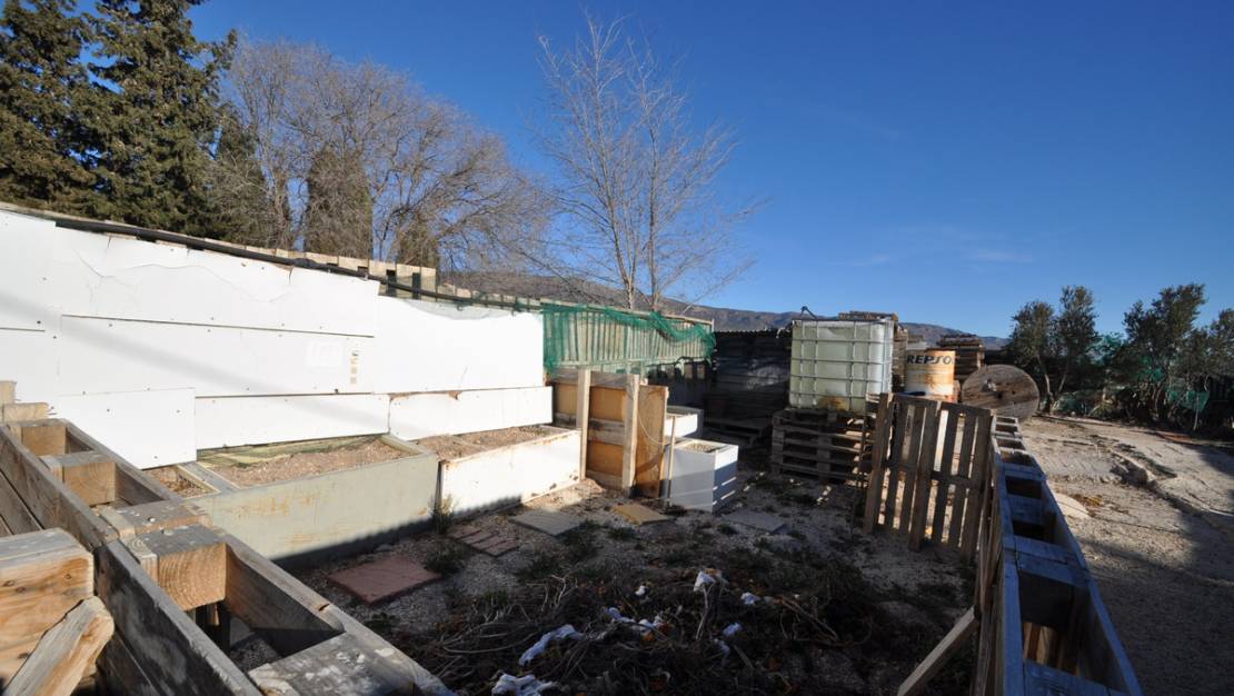 Sale - Land - Pinoso - Pinoso Centro