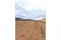 Sale - Land - Pinoso - Pinoso Centro