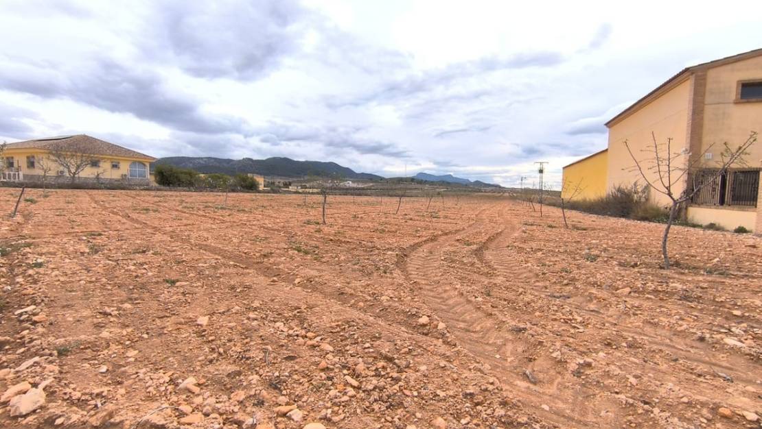 Sale - Land - Pinoso - Pinoso Centro