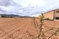 Sale - Land - Pinoso - Pinoso Centro