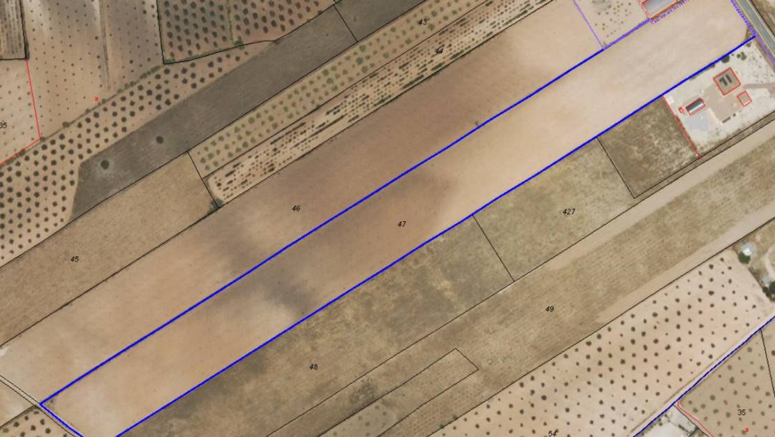 Sale - Land - Pinoso - Pinoso Centro