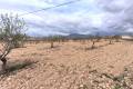 Sale - Land - Pinoso - Pinoso Centro