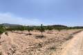 Sale - Land - Pinoso - Pinoso Centro