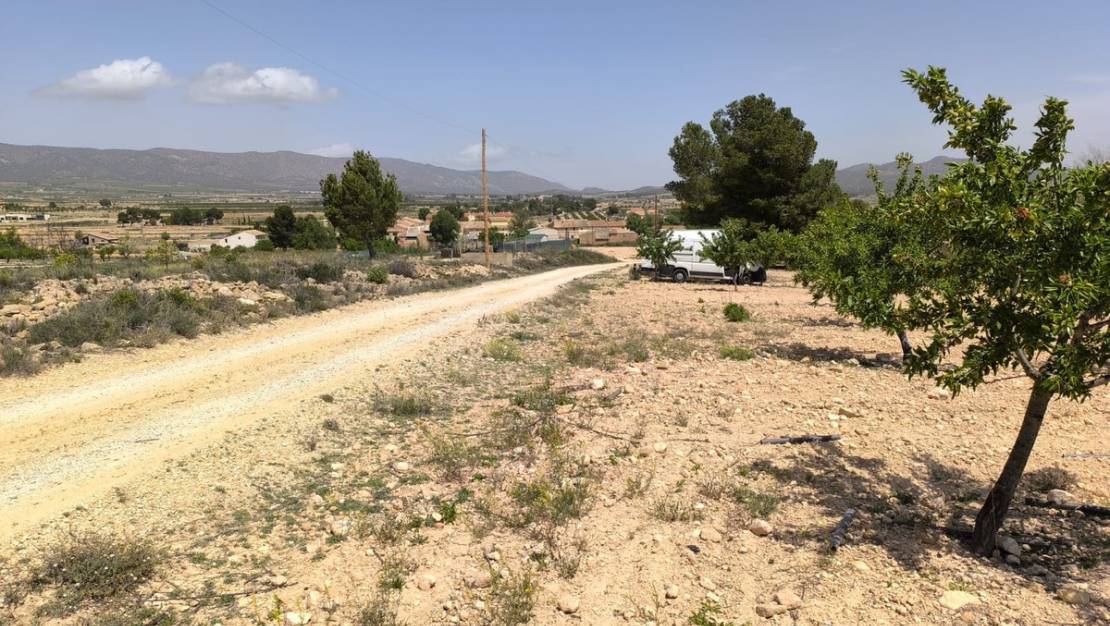 Sale - Land - Pinoso - Pinoso Centro