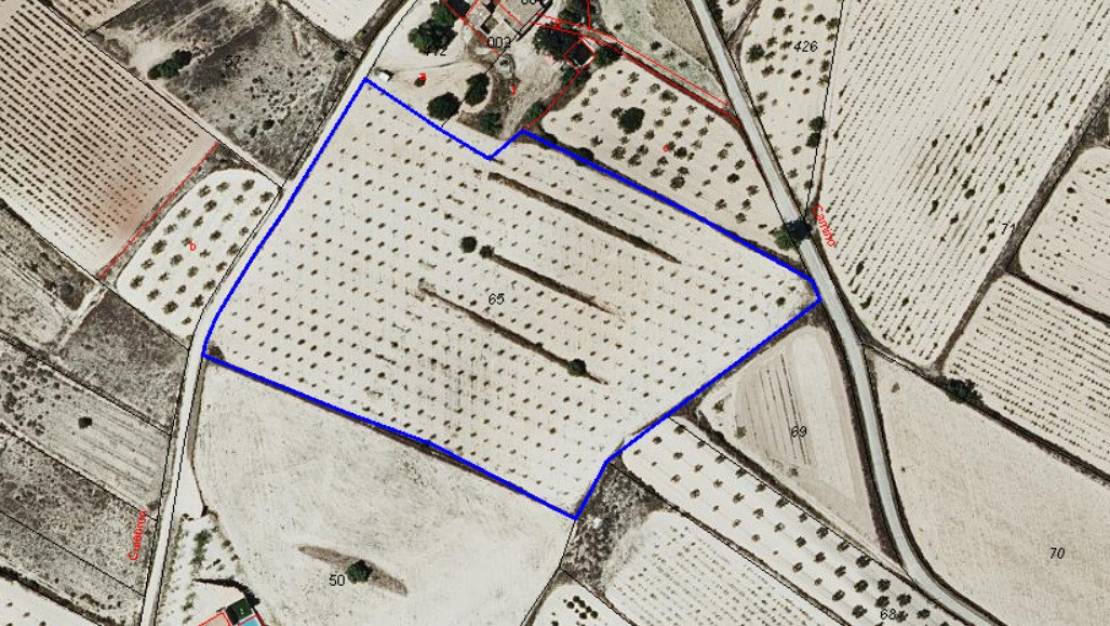 Sale - Land - Pinoso - Pinoso Centro