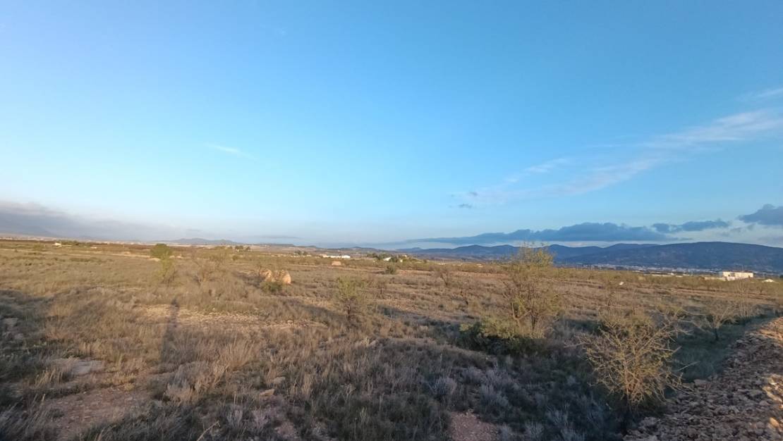 Sale - Land - Pinoso - Pinoso Centro