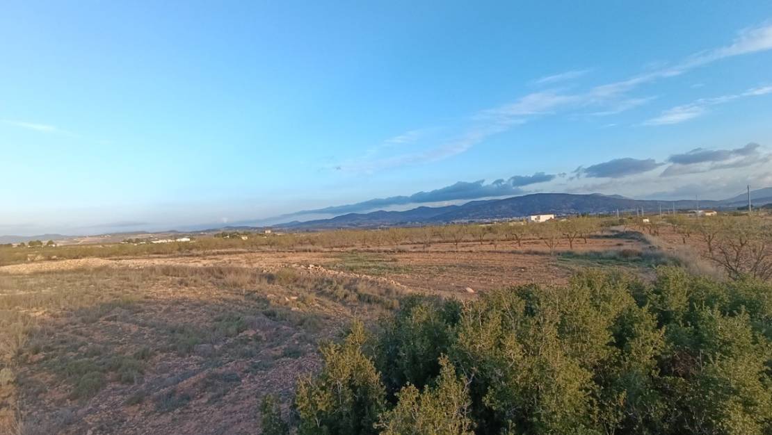 Sale - Land - Pinoso - Pinoso Centro