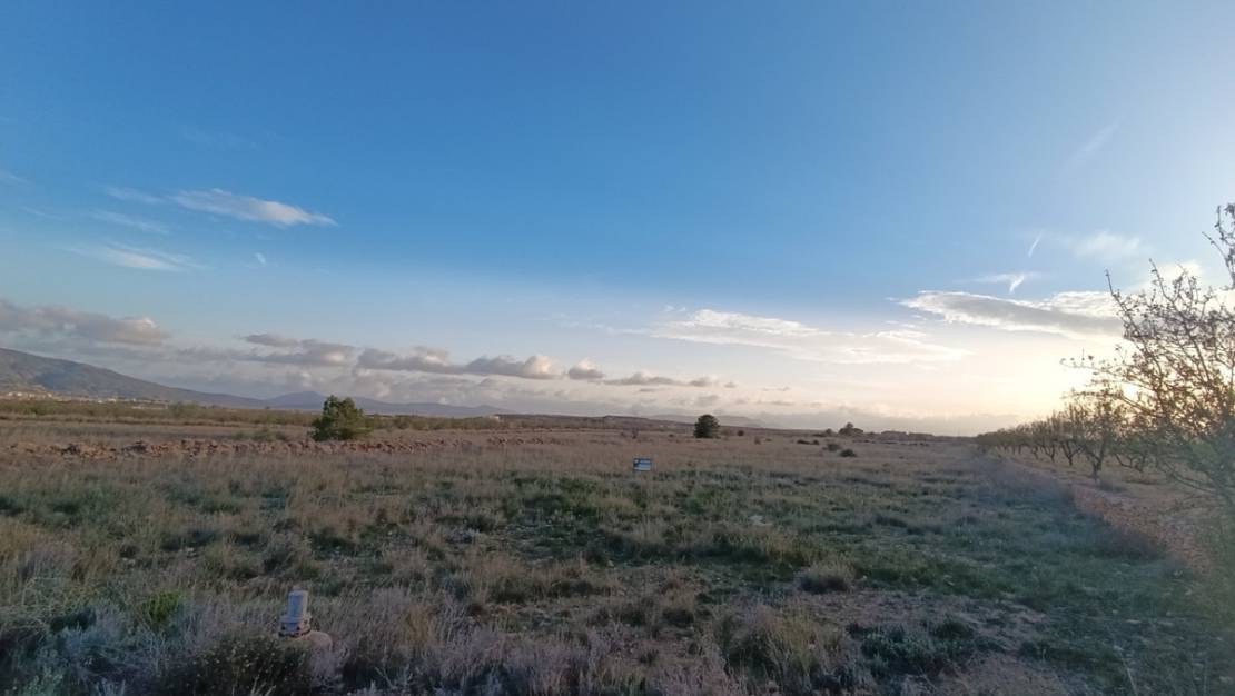 Sale - Land - Pinoso - Pinoso Centro