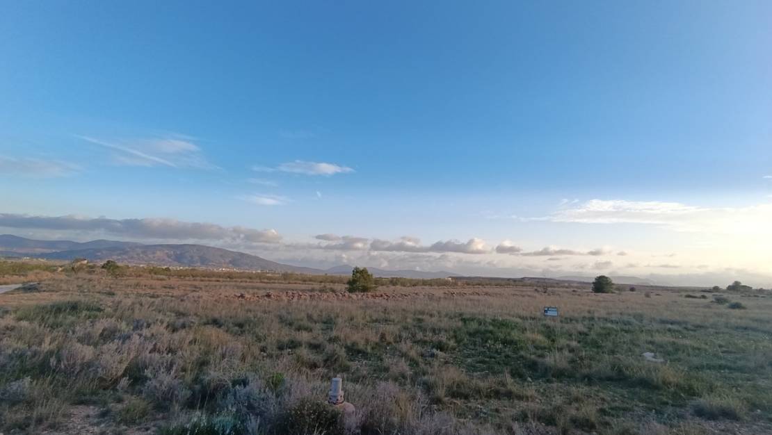 Sale - Land - Pinoso - Pinoso Centro