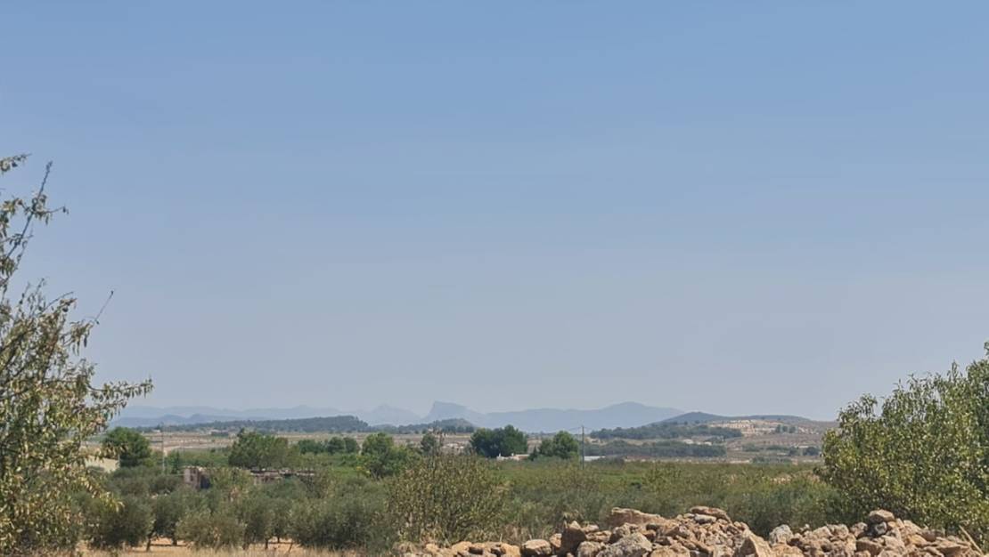 Sale - Land - Pinoso - Pinoso Centro