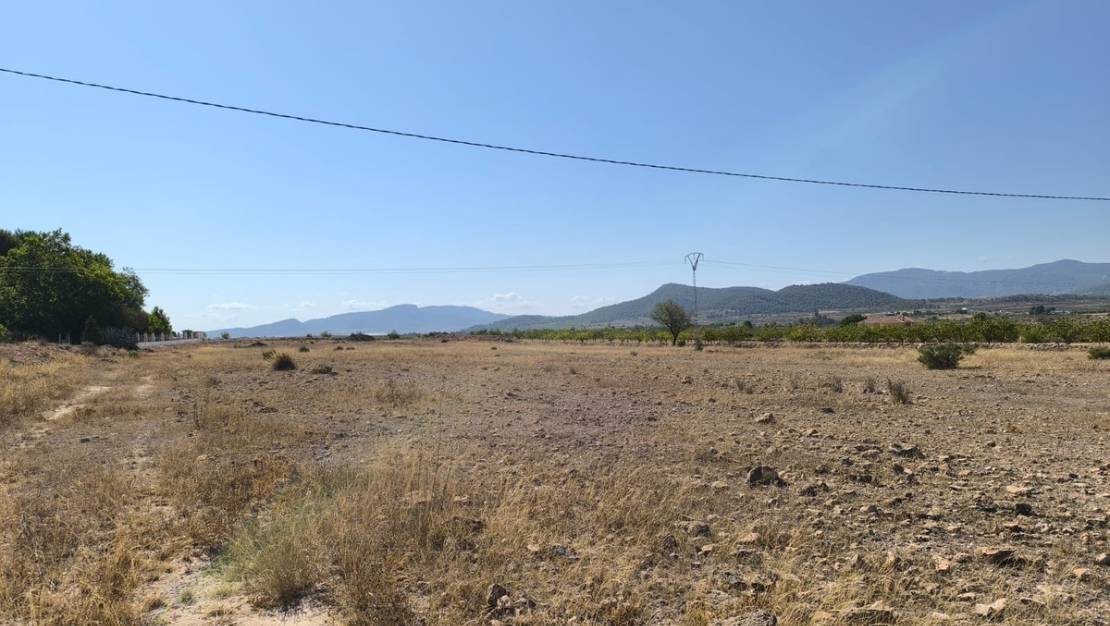 Sale - Land - Pinoso - Pinoso Centro