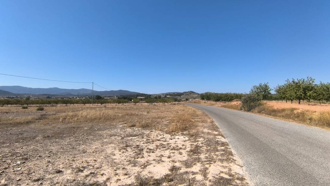 Sale - Land - Pinoso - Pinoso Centro